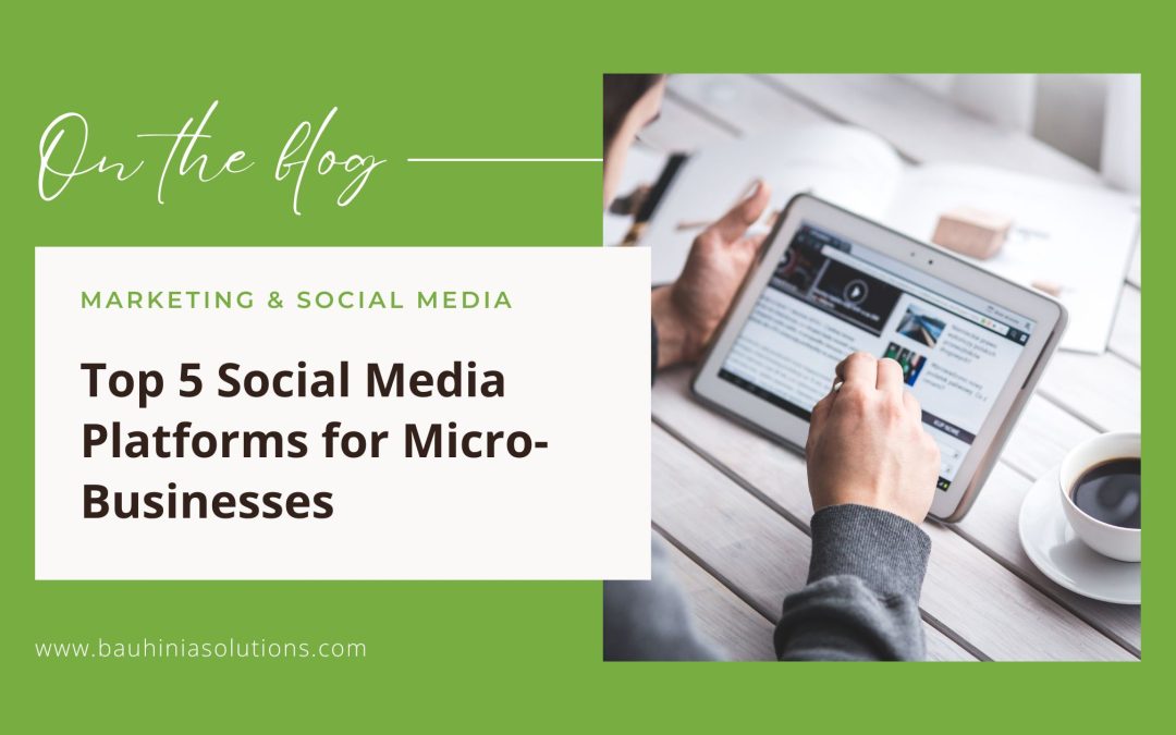 Top 5 Social Media Platforms for Micro-Businesses